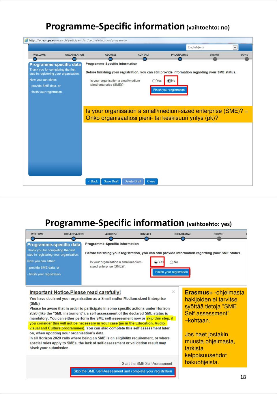 17 Programme Specific information (vaihtoehto: yes) Erasmus+ -ohjelmasta hakijoiden ei tarvitse