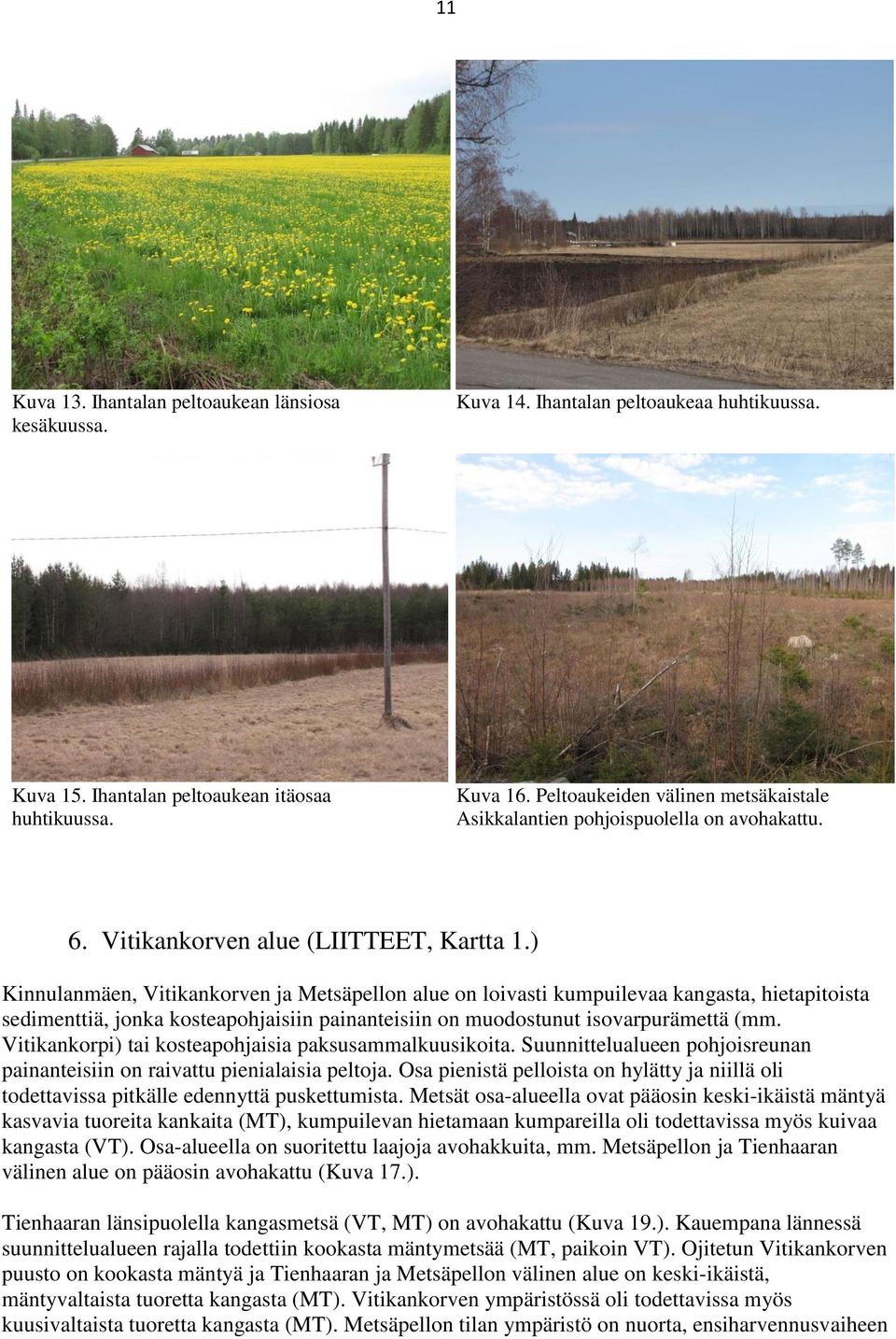 ) Kinnulanmäen, Vitikankorven ja Metsäpellon alue on loivasti kumpuilevaa kangasta, hietapitoista sedimenttiä, jonka kosteapohjaisiin painanteisiin on muodostunut isovarpurämettä (mm.