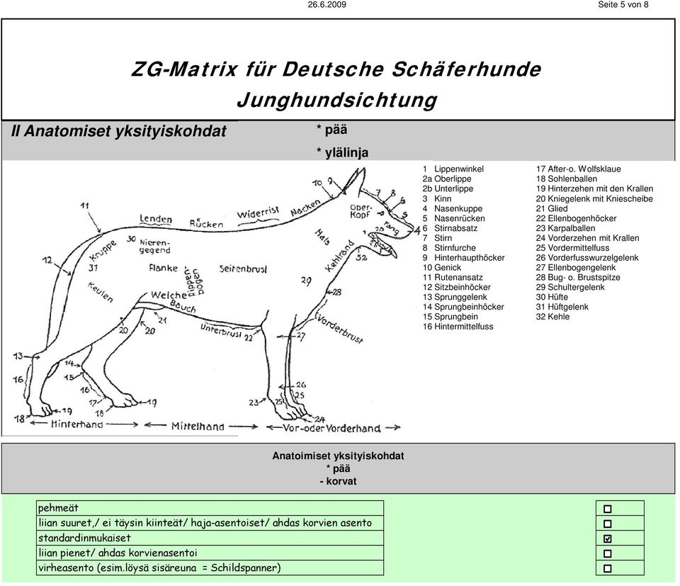 Karpalballen 7 Stirn 24 Vorderzehen mit Krallen 8 Stirnfurche 25 Vordermittelfuss 9 Hinterhaupthöcker 26 Vorderfusswurzelgelenk 10 Genick 27 Ellenbogengelenk 11 Rutenansatz 28 Bug- o.