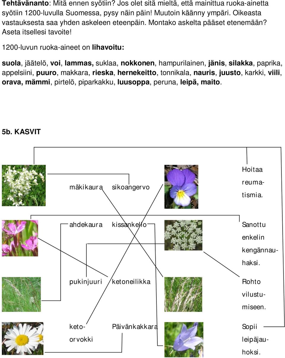 1200-luvun ruoka-aineet on lihavoitu: suola, jäätelö, voi, lammas, suklaa, nokkonen, hampurilainen, jänis, silakka, paprika, appelsiini, puuro, makkara, rieska, hernekeitto, tonnikala,