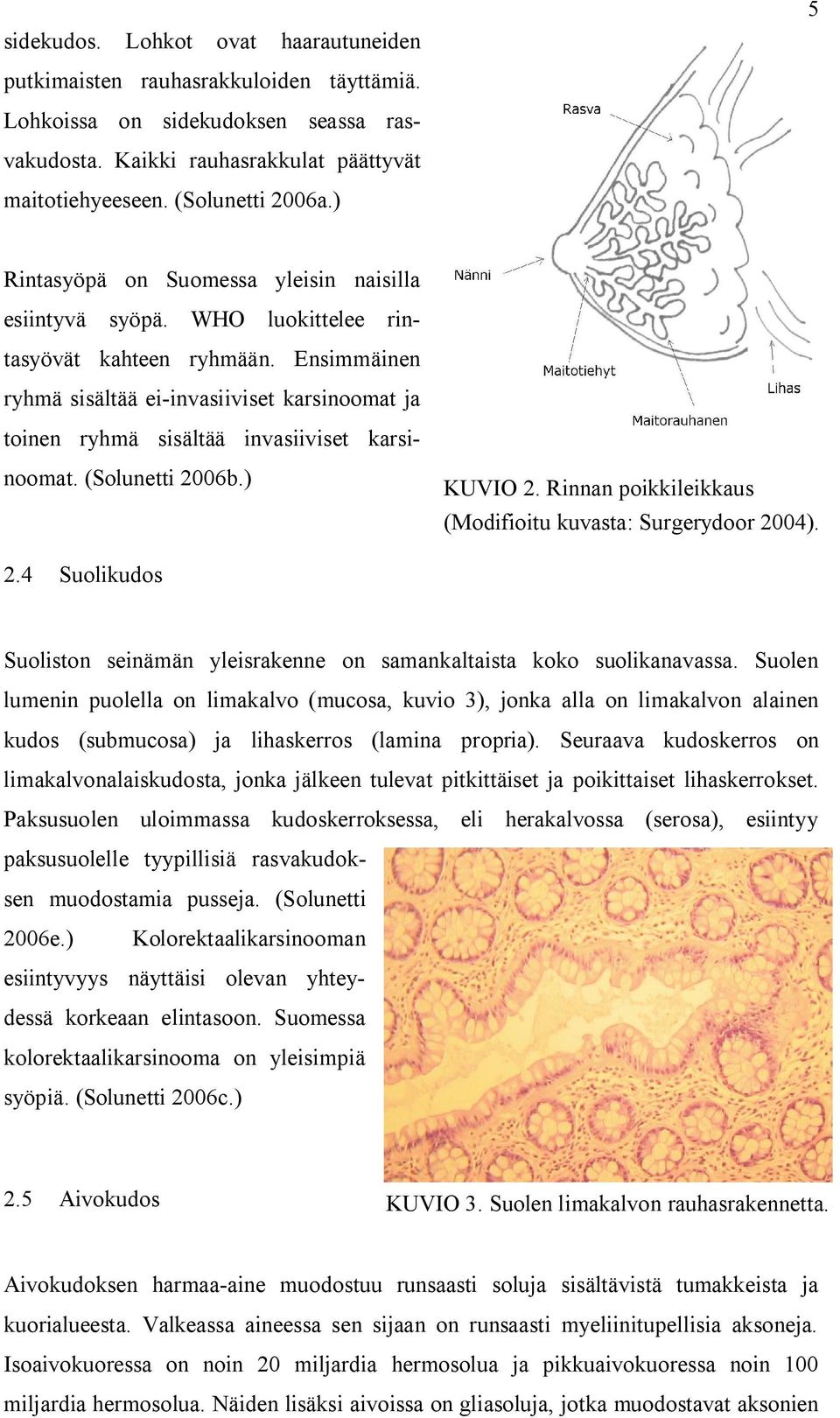 Ensimmäinen ryhmä sisältää ei-invasiiviset karsinoomat ja toinen ryhmä sisältää invasiiviset karsinoomat. (Solunetti 20