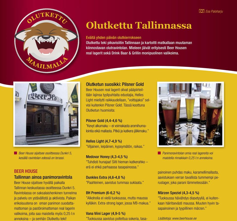 Olutketun suosikki: Pilsner Gold Beer Housen real lagerit olivat pääpiirteiltään lajinsa tyylipuhtaita edustajia, Helles Light miellytti raikkaudellaan, voittajaksi selvisi kuitenkin Pilsner Gold.