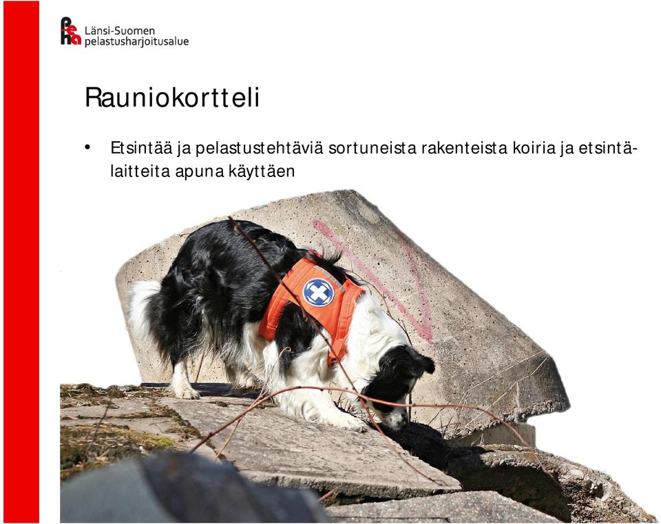 sortuneista rakenteista