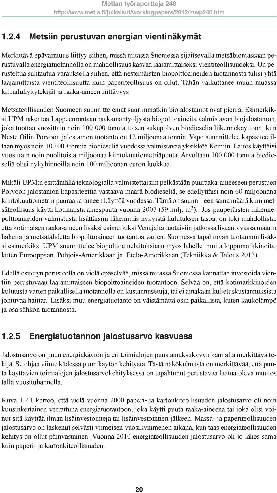 On perusteltua suhtautua varauksella siihen, että nestemäisten biopolttoaineiden tuotannosta tulisi yhtä laajamittaista vientiteollisuutta kuin paperiteollisuus on ollut.