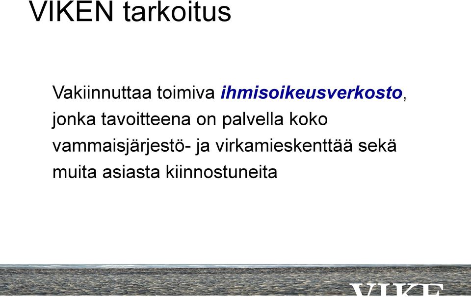 on palvella koko vammaisjärjestö- ja