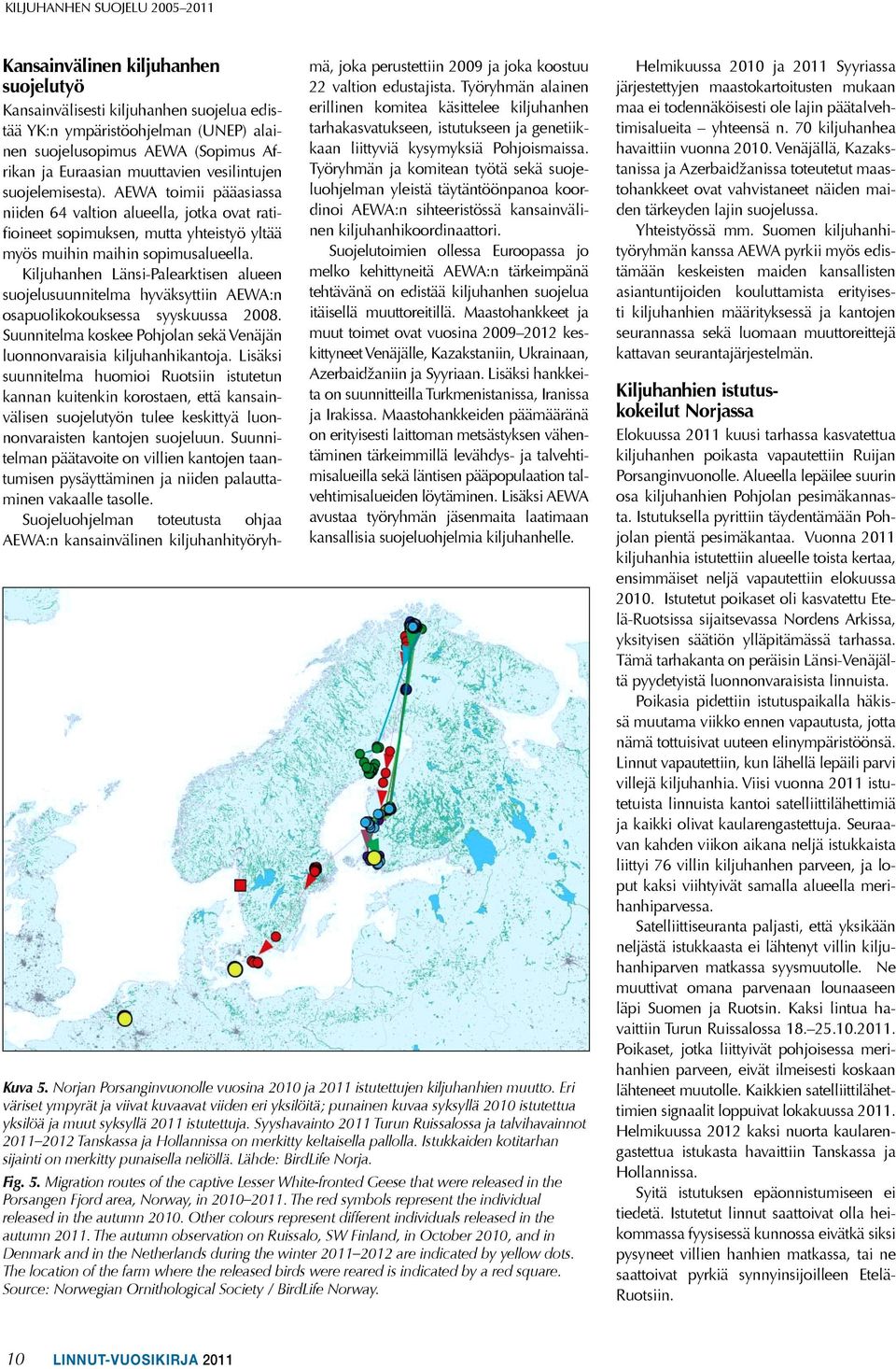 Kiljuhanhen Länsi-Palearktisen alueen suojelusuunnitelma hyväksyttiin AEWA:n osapuolikokouksessa syyskuussa 2008. Suunnitelma koskee Pohjolan sekä Venäjän luonnonvaraisia kiljuhanhikantoja.