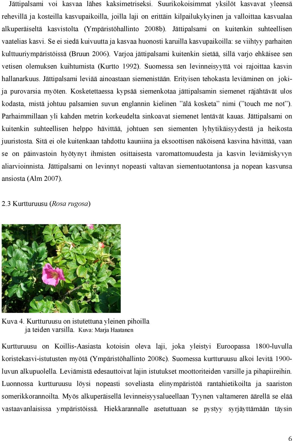 Jättipalsami on kuitenkin suhteellisen vaatelias kasvi. Se ei siedä kuivuutta ja kasvaa huonosti karuilla kasvupaikoilla: se viihtyy parhaiten kulttuuriympäristöissä (Bruun 2006).