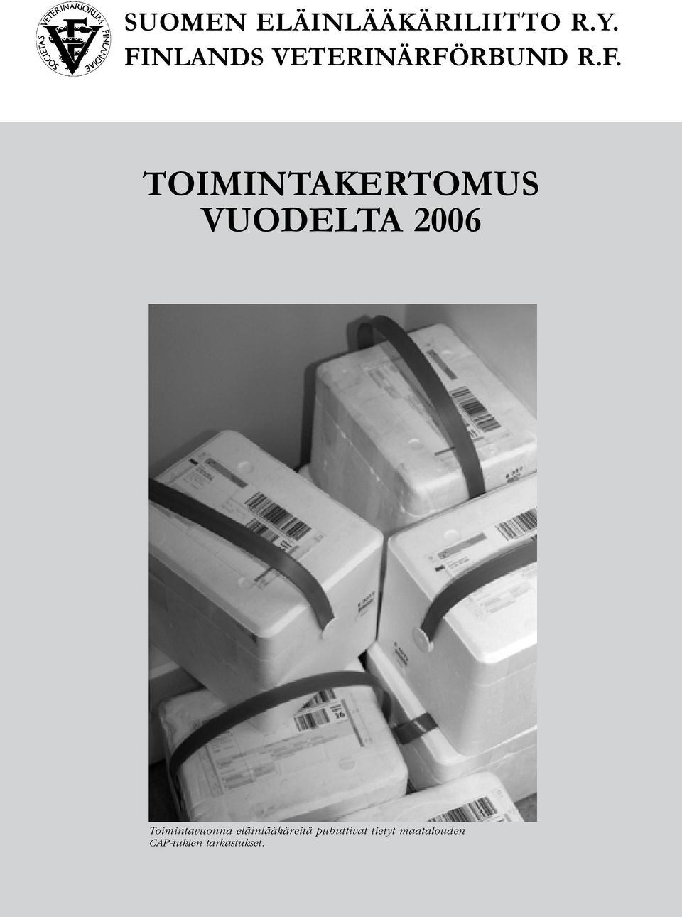 TOIMINTAKERTOMUS VUODELTA 2006