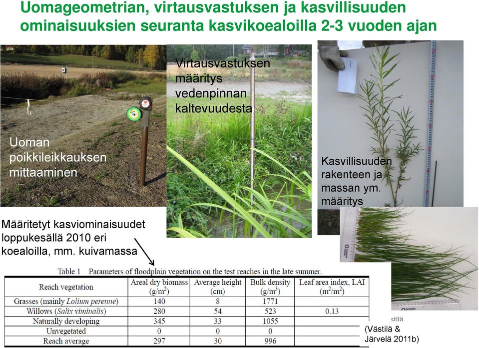 Kasvillisuuden rakenteen ja massan ym.