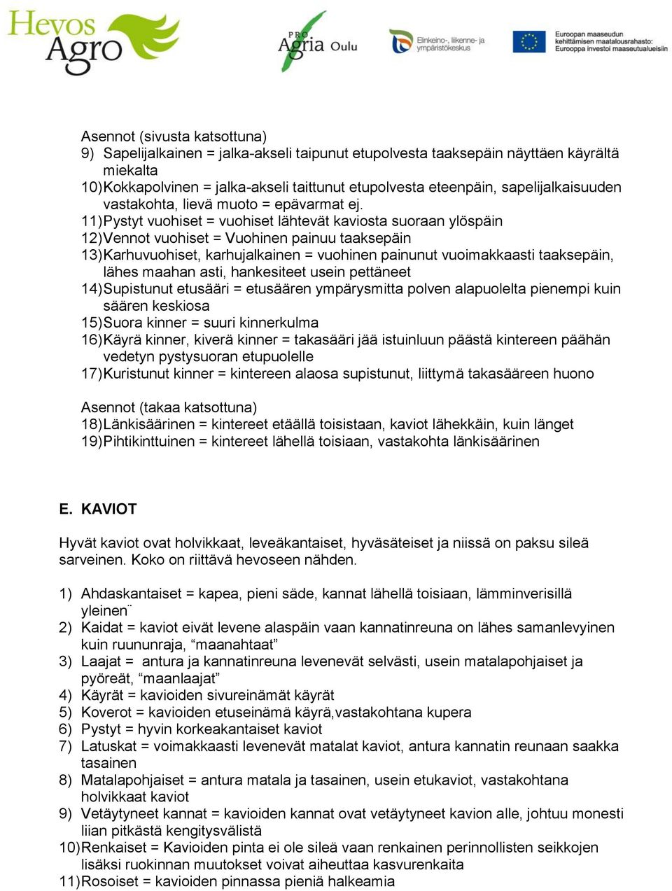 11) Pystyt vuohiset = vuohiset lähtevät kaviosta suoraan ylöspäin 12) Vennot vuohiset = Vuohinen painuu taaksepäin 13) Karhuvuohiset, karhujalkainen = vuohinen painunut vuoimakkaasti taaksepäin,