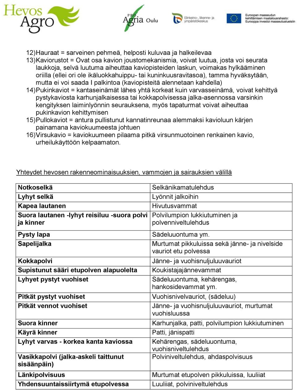 kantaseinämät lähes yhtä korkeat kuin varvasseinämä, voivat kehittyä pystykaviosta karhunjalkaisessa tai kokkapolvisessa jalka-asennossa varsinkin kengityksen laiminlyönnin seurauksena, myös