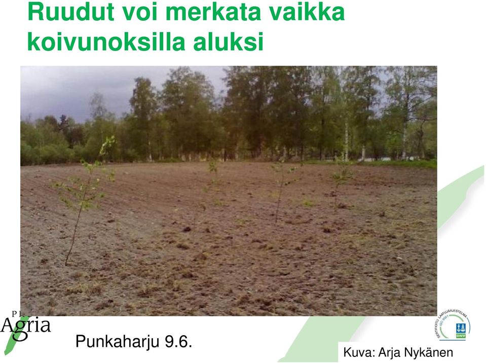 aluksi Punkaharju 9.