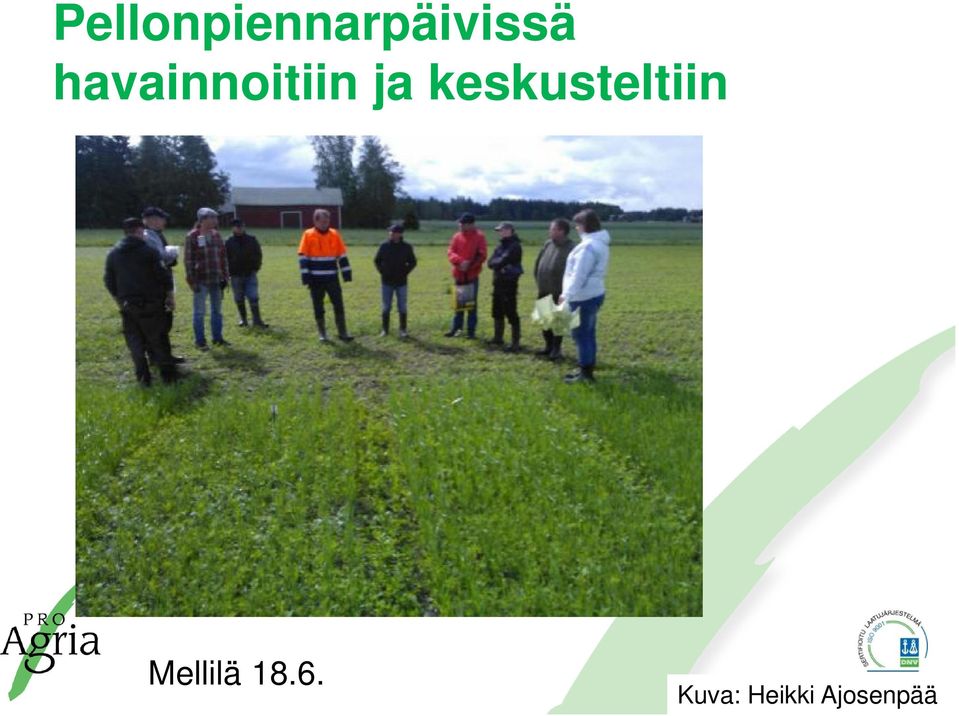keskusteltiin Mellilä