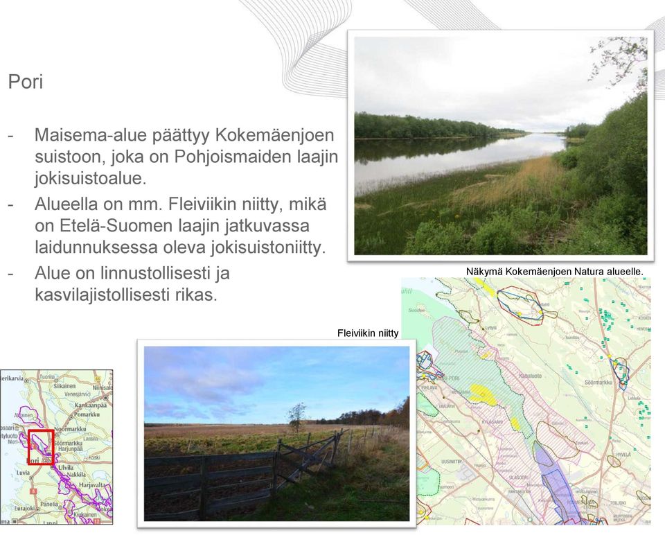 Fleiviikin niitty, mikä on Etelä-Suomen laajin jatkuvassa laidunnuksessa oleva