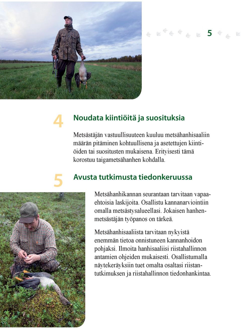Osallistu kannanarviointiin omalla metsästysalueellasi. Jokaisen hanhenmetsästäjän työpanos on tärkeä.