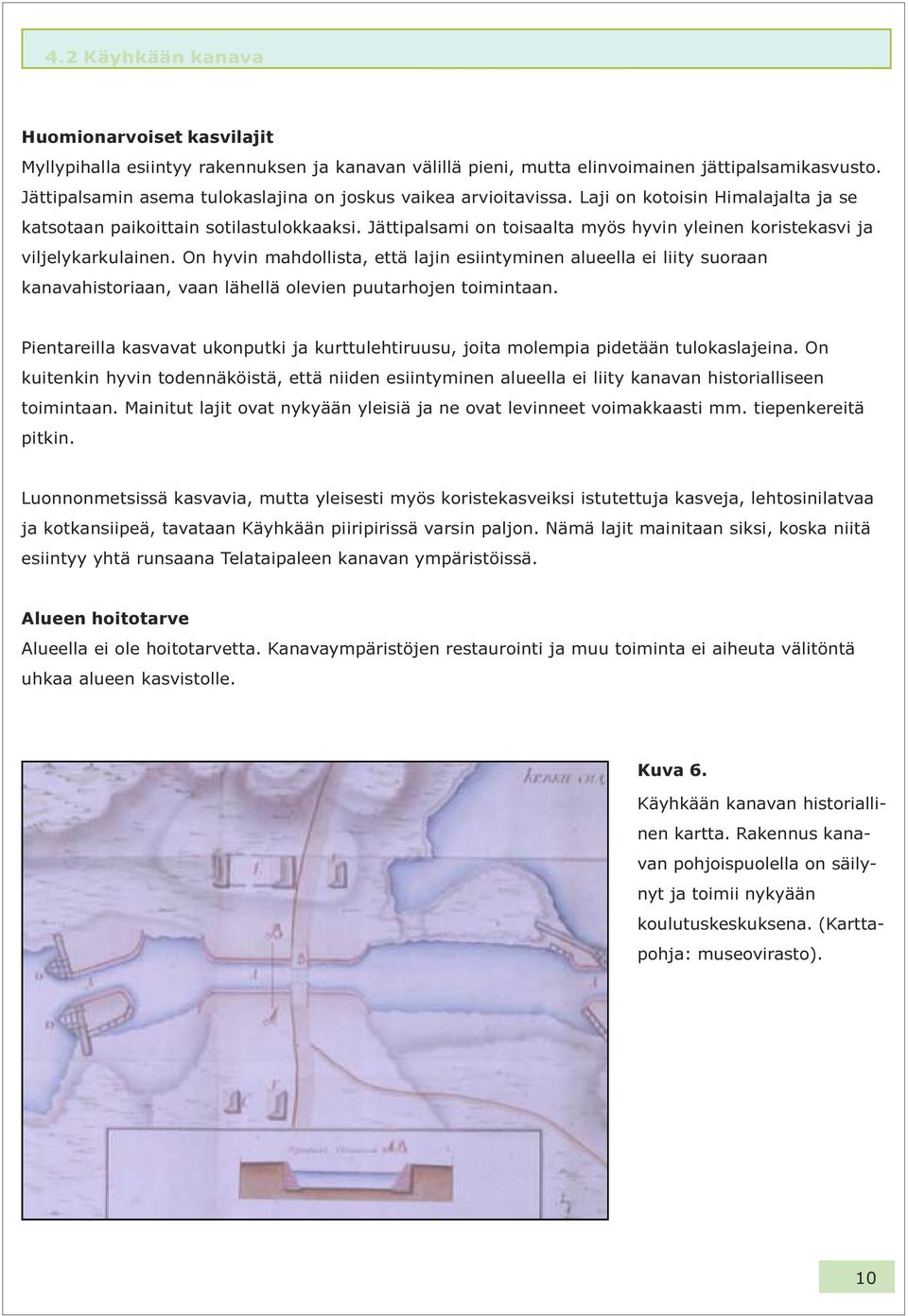 Jättipalsami on toisaalta myös hyvin yleinen koristekasvi ja viljelykarkulainen.
