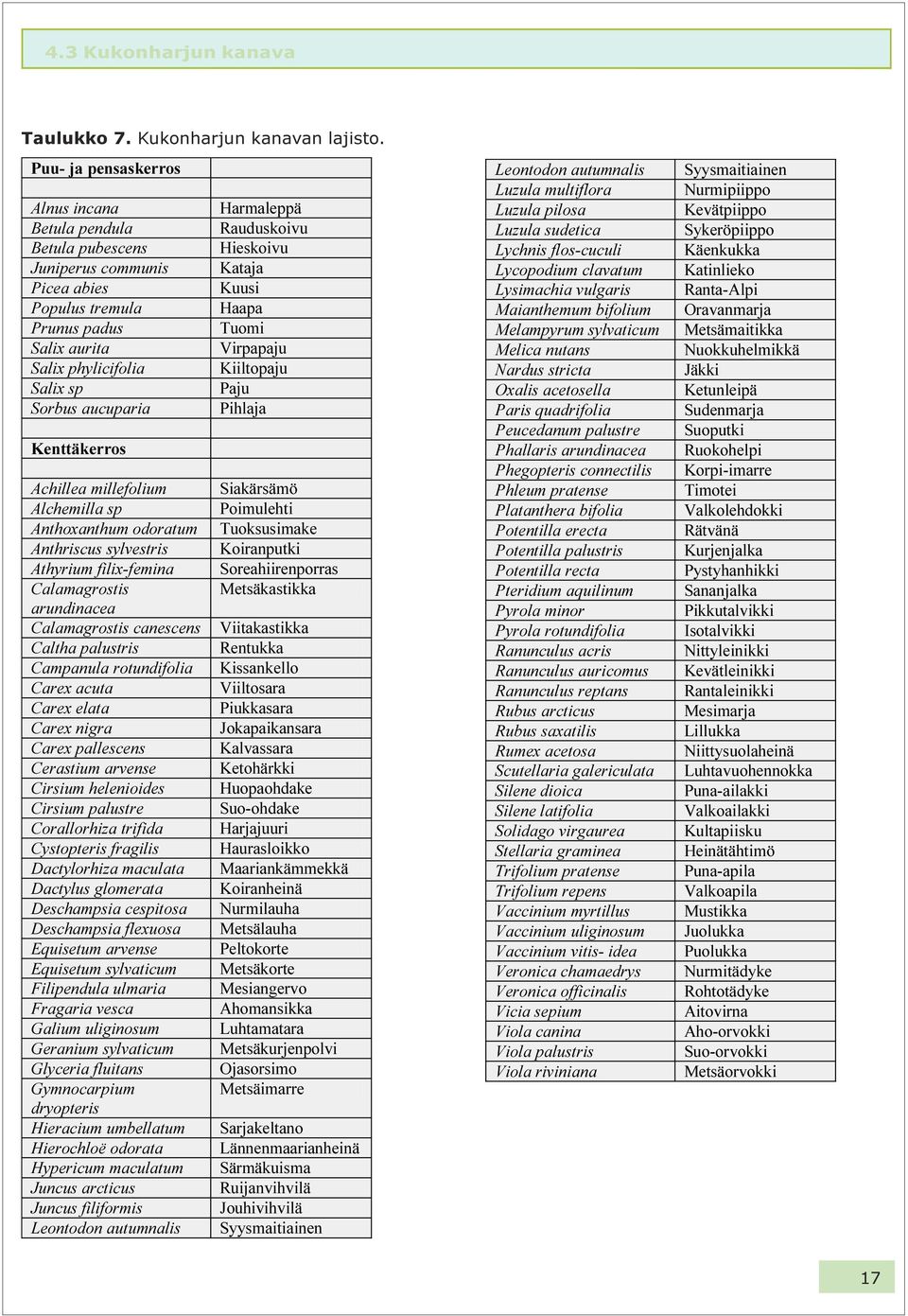 Virpapaju Salix phylicifolia Kiiltopaju Salix sp Paju Sorbus aucuparia Pihlaja Kenttäkerros Achillea millefolium Siakärsämö Alchemilla sp Poimulehti Anthoxanthum odoratum Tuoksusimake Anthriscus