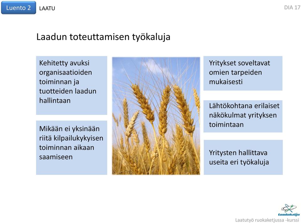 kilpailukykyisen toiminnan aikaan saamiseen Yritykset soveltavat omien tarpeiden