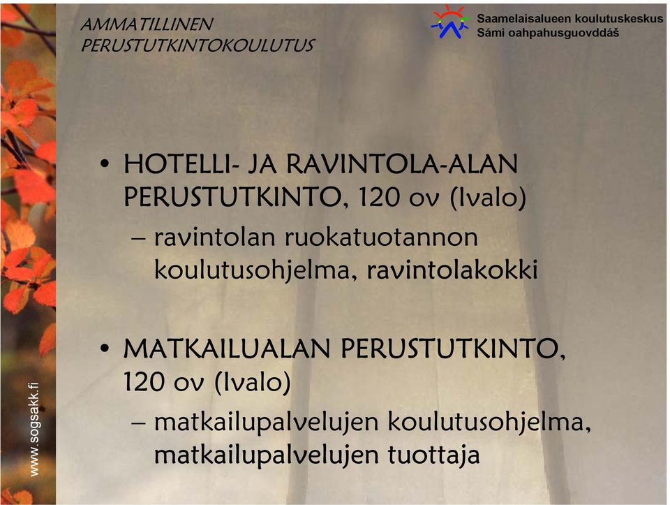 ruokatuotannon koulutusohjelma, ravintolakokki MATKAILUALAN