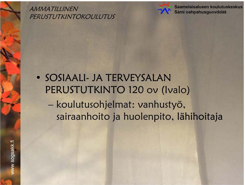 TERVEYSALAN PERUSTUTKINTO 120 ov (Ivalo)