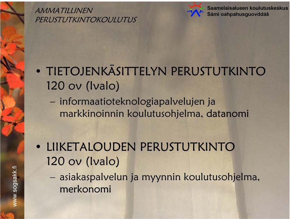 informaatioteknologiapalvelujen ja markkinoinnin koulutusohjelma,