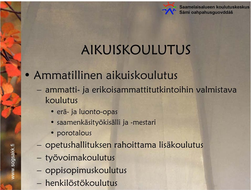 luonto-opas saamenkäsityökisälli ja -mestari porotalous