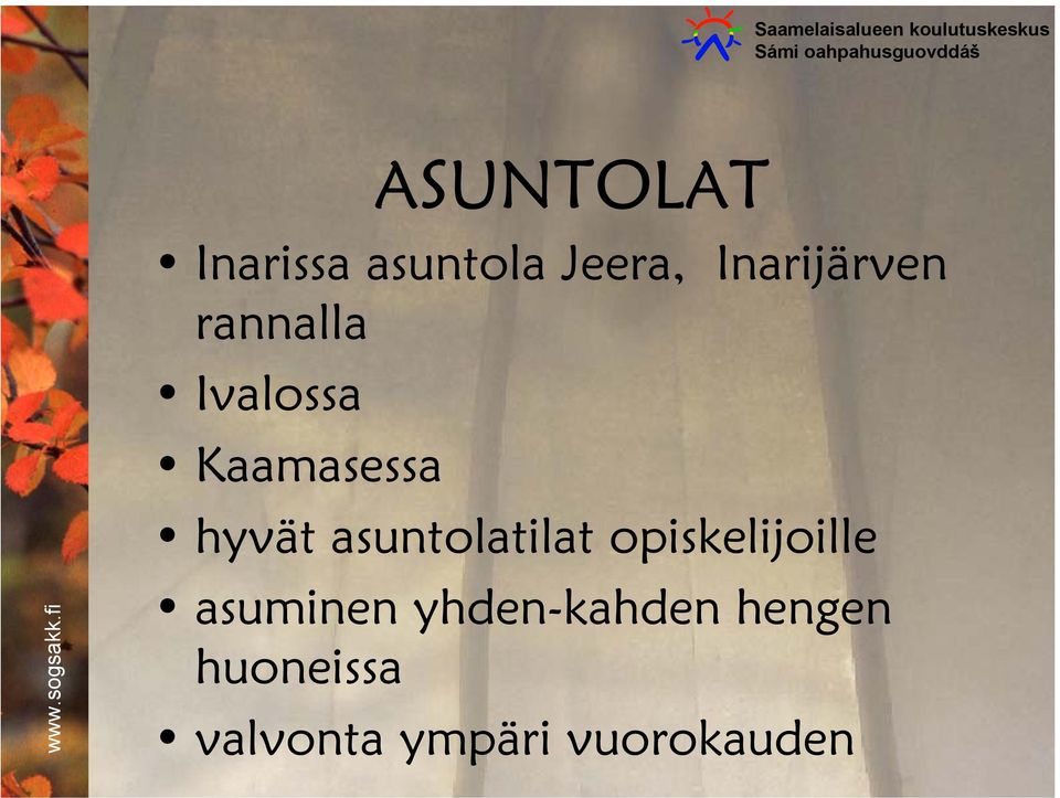 hyvät asuntolatilat opiskelijoille asuminen