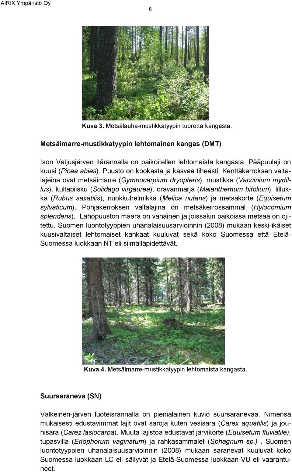 Kenttäkerroksen valtalajeina ovat metsäimarre (Gymnocarpium dryopteris), mustikka (Vaccinium myrtillus), kultapiisku (Solidago virgaurea), oravanmarja (Maianthemum bifolium), lillukka (Rubus