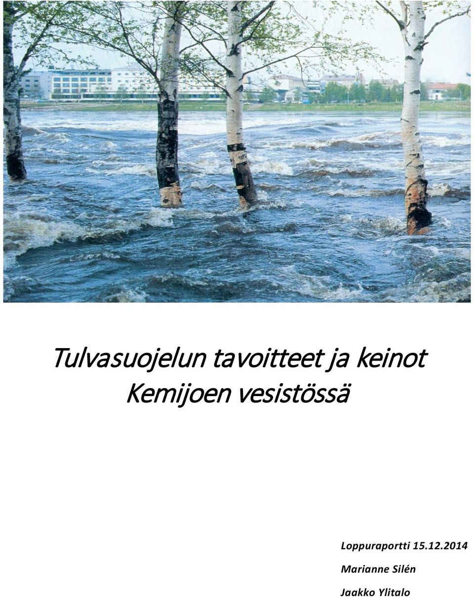 Loppuraportti 15.12.