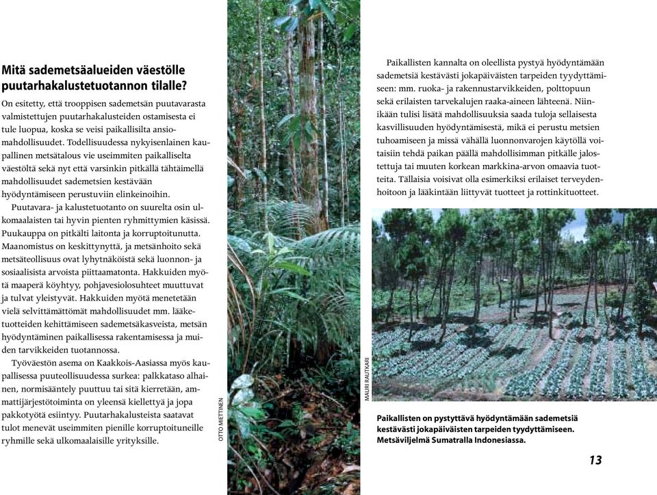 Todellisuudessa nykyisenlainen kaupallinen metsätalous vie useimmiten paikalliselta väestöltä sekä nyt että varsinkin pitkällä tähtäimellä mahdollisuudet sademetsien kestävään hyödyntämiseen