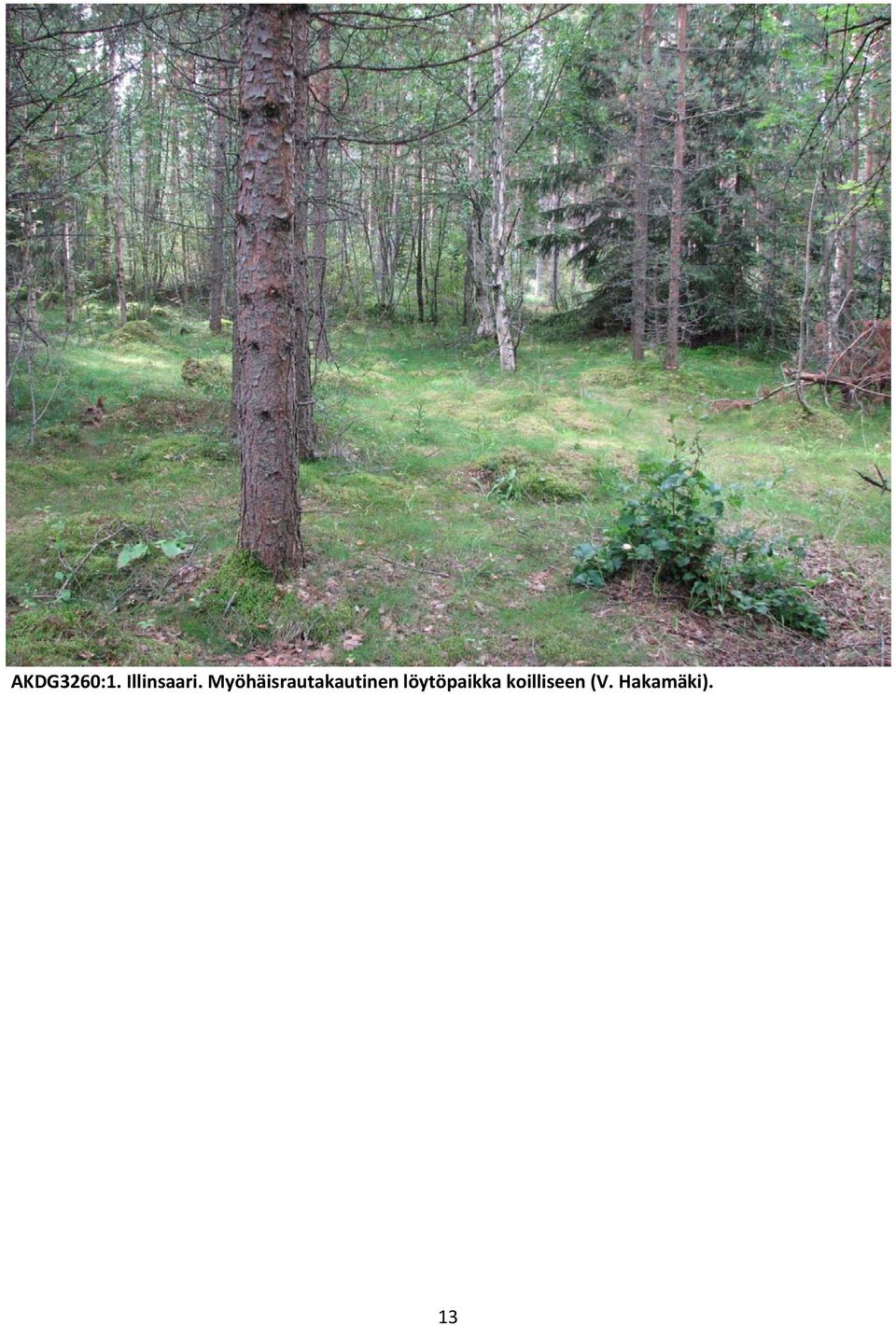 Myöhäisrautakautinen