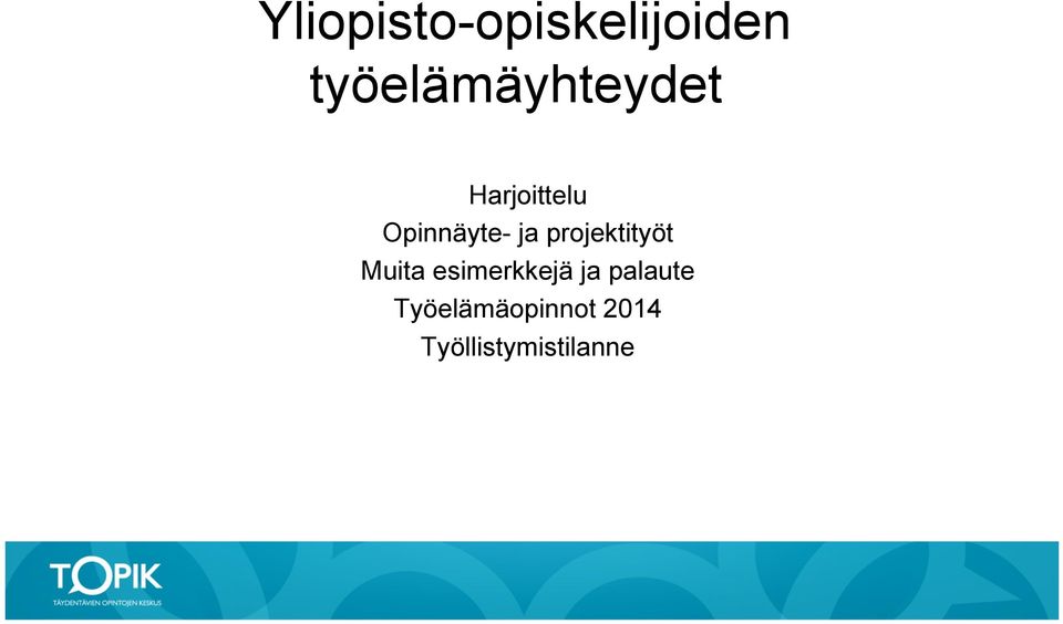 Opinnäyte- ja projektityöt Muita