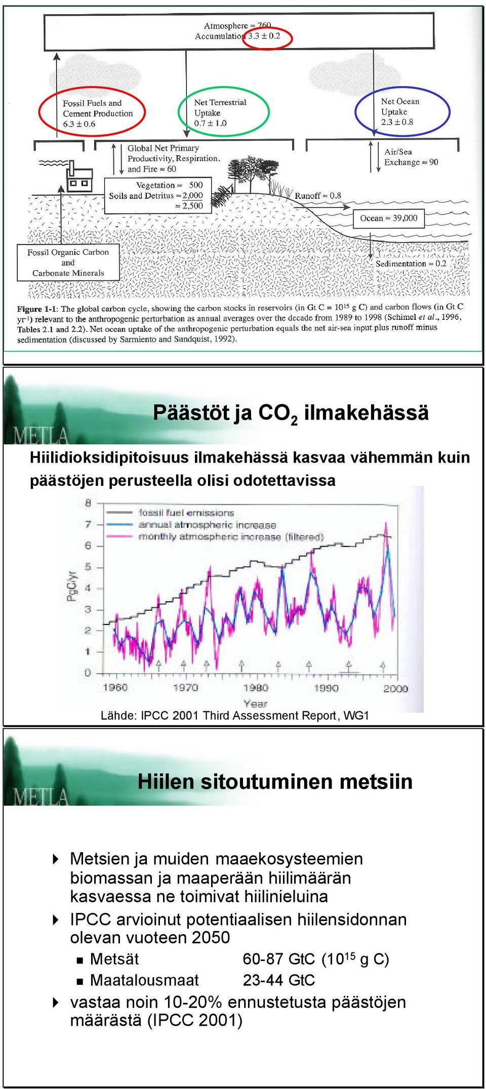 maaekosysteemien biomassan ja maaperään hiilimäärän kasvaessa ne toimivat hiilinieluina IPCC arvioinut potentiaalisen