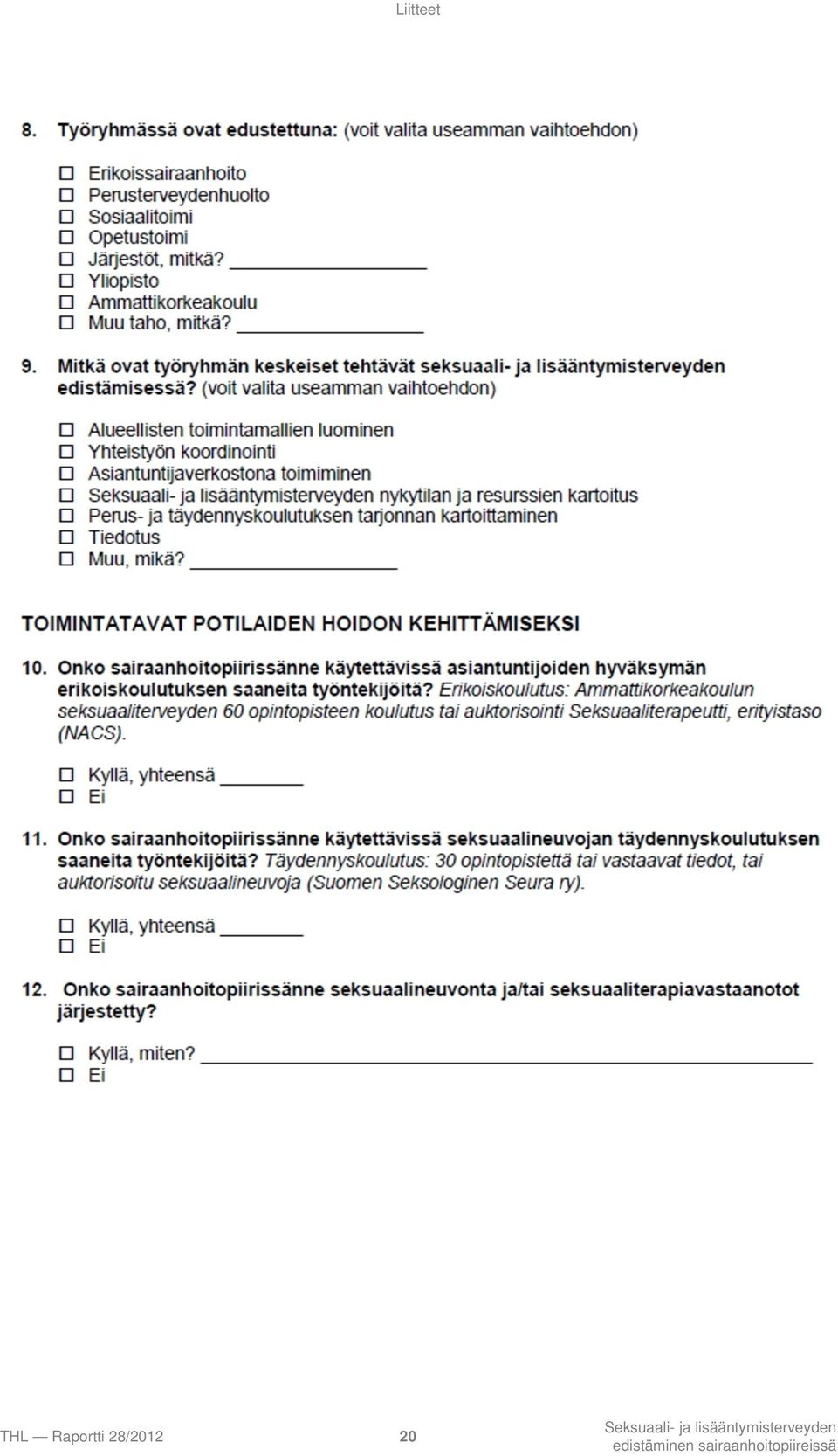 Raportti
