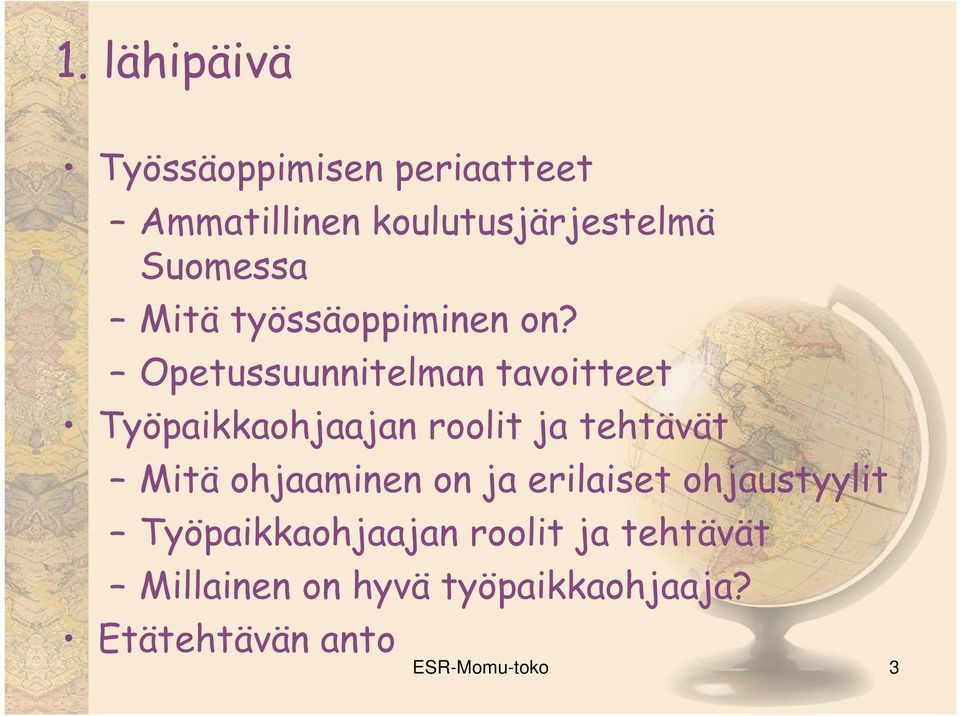 Opetussuunnitelman tavoitteet Työpaikkaohjaajan roolit ja tehtävät Mitä