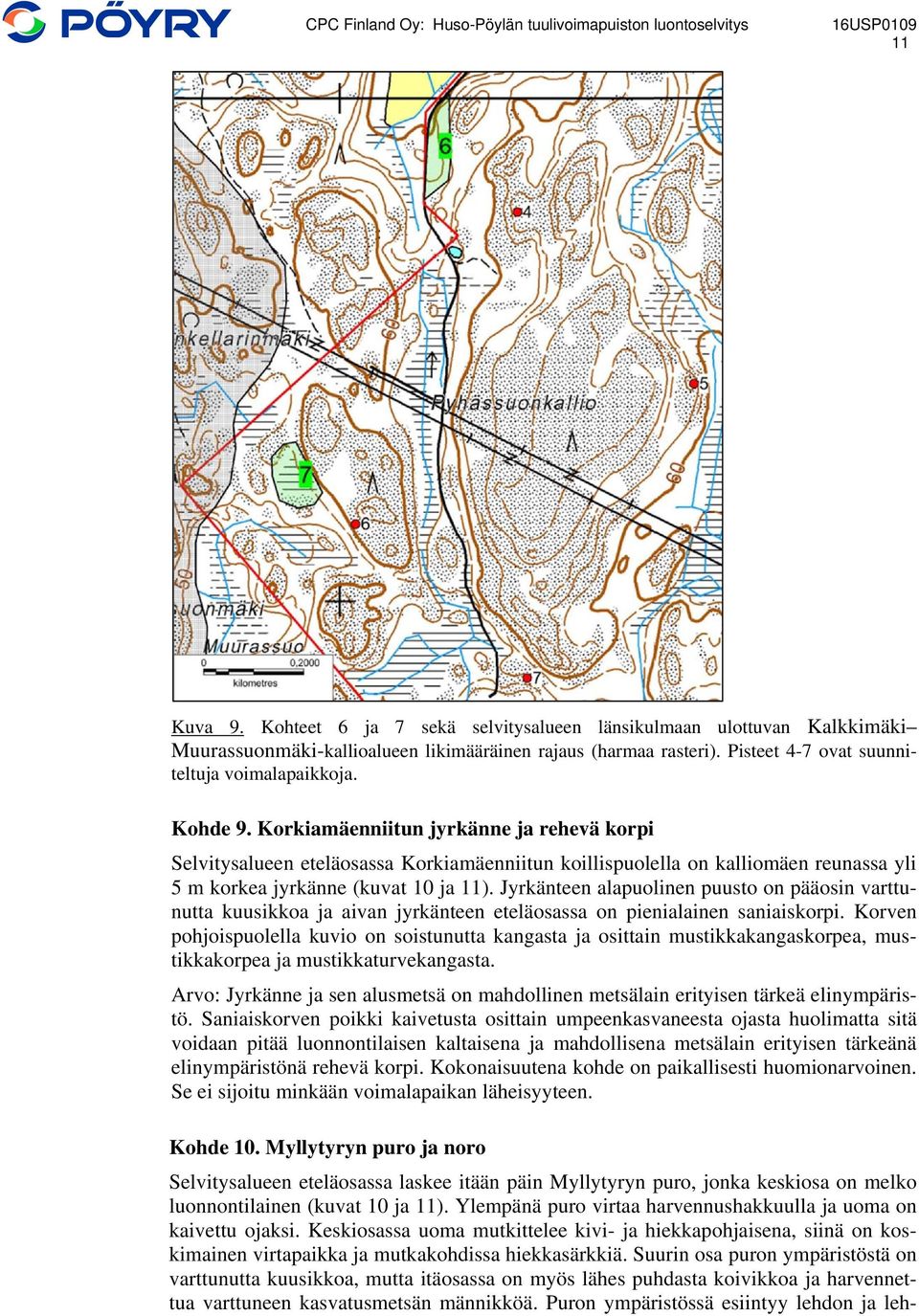 Jyrkänteen alapuolinen puusto on pääosin varttunutta kuusikkoa ja aivan jyrkänteen eteläosassa on pienialainen saniaiskorpi.