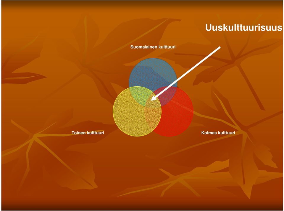 kulttuuri Toinen