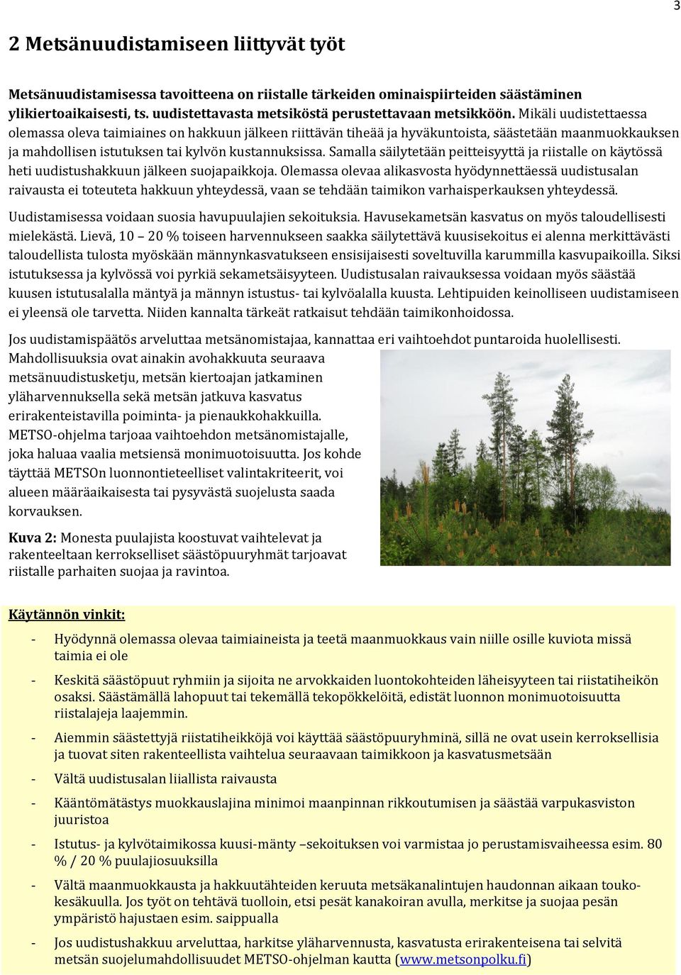 Mikäli uudistettaessa olemassa oleva taimiaines on hakkuun jälkeen riittävän tiheää ja hyväkuntoista, säästetään maanmuokkauksen ja mahdollisen istutuksen tai kylvön kustannuksissa.