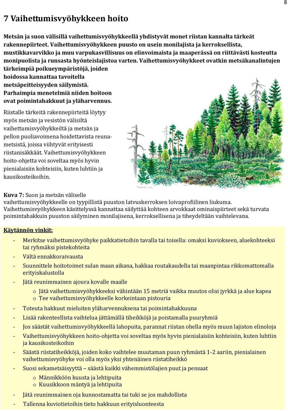 hyönteislajistoa varten. Vaihettumisvyöhykkeet ovatkin metsäkanalintujen tärkeimpiä poikueympäristöjä, joiden hoidossa kannattaa tavoitella metsäpeitteisyyden säilymistä.