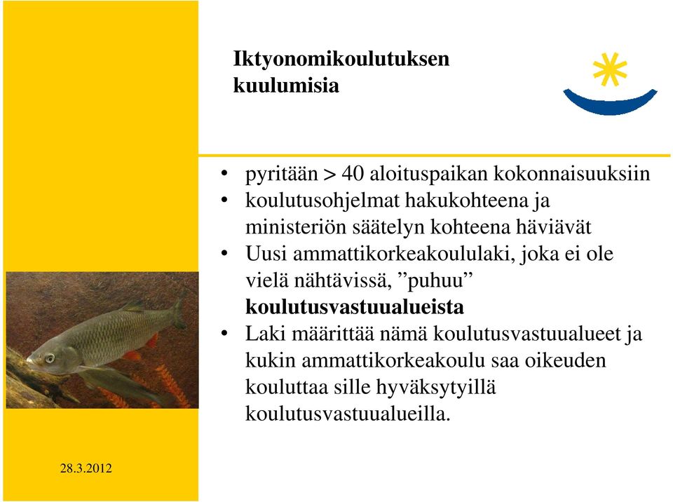 ammattikorkeakoululaki, joka ei ole vielä nähtävissä, puhuu koulutusvastuualueista Laki