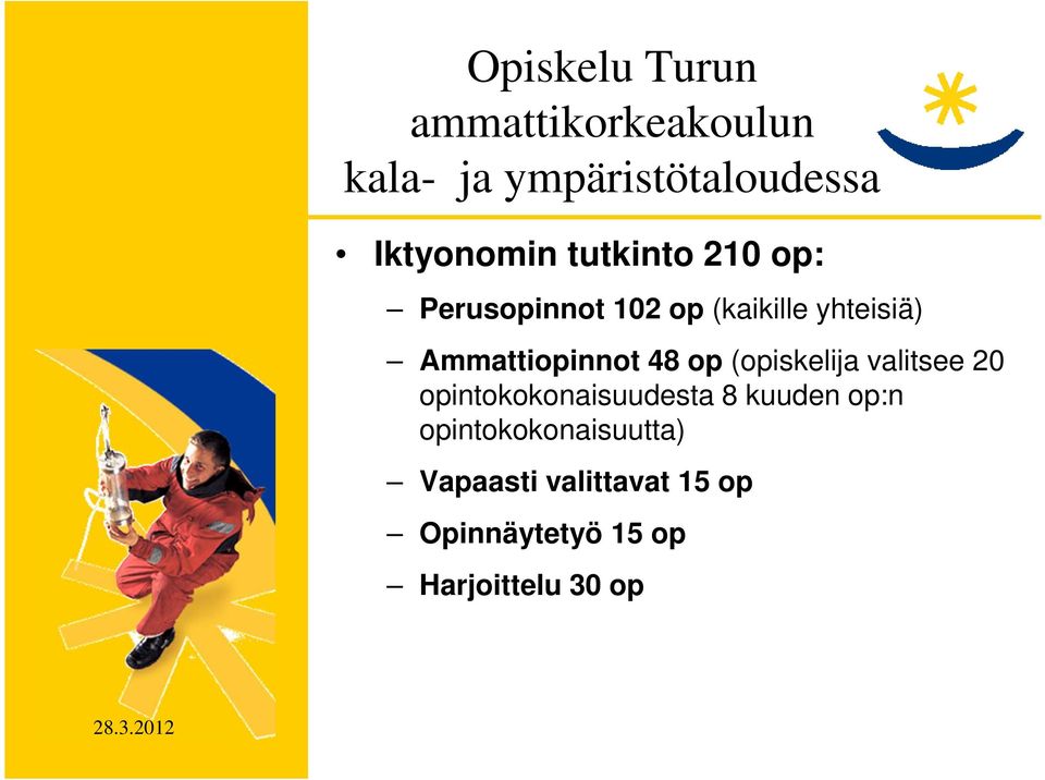 Ammattiopinnot 48 op (opiskelija valitsee 20 opintokokonaisuudesta 8