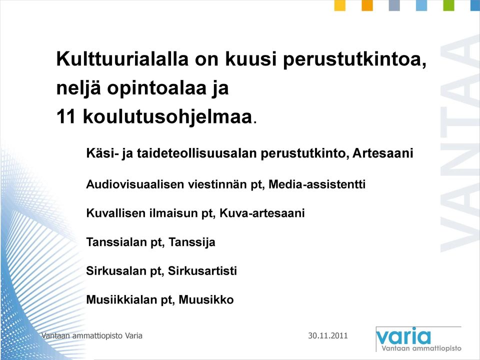 Käsi- ja taideteollisuusalan perustutkinto, Artesaani Audiovisuaalisen
