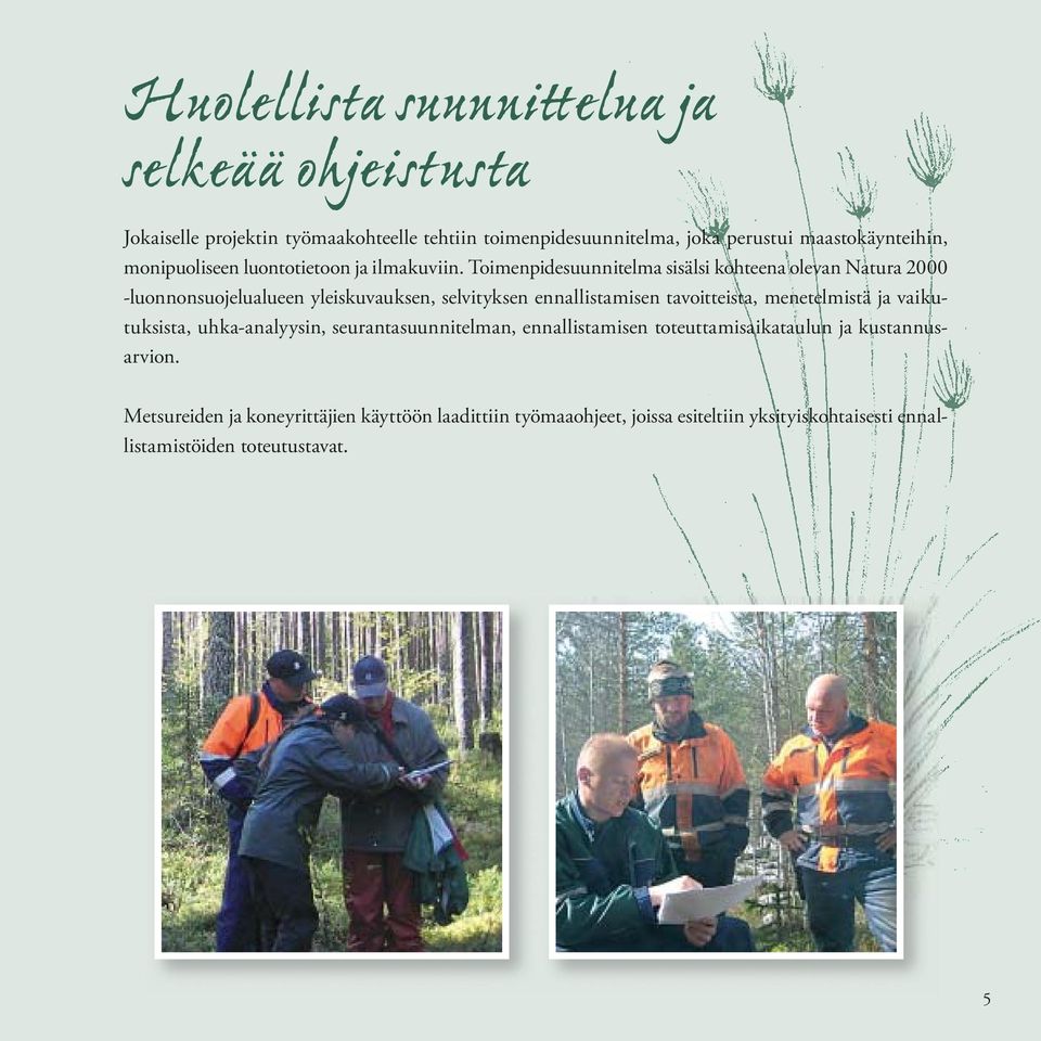 Toimenpidesuunnitelma sisälsi kohteena olevan Natura 2000 -luonnonsuojelualueen yleiskuvauksen, selvityksen ennallistamisen tavoitteista,