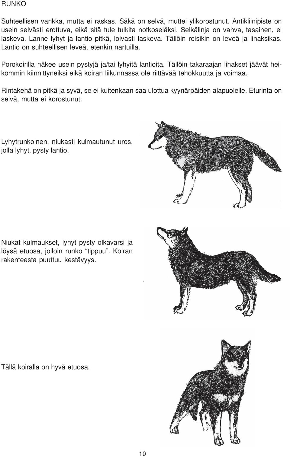 Porokoirilla näkee usein pystyjä ja/tai lyhyitä lantioita. Tällöin takaraajan lihakset jäävät heikommin kiinnittyneiksi eikä koiran liikunnassa ole riittävää tehokkuutta ja voimaa.