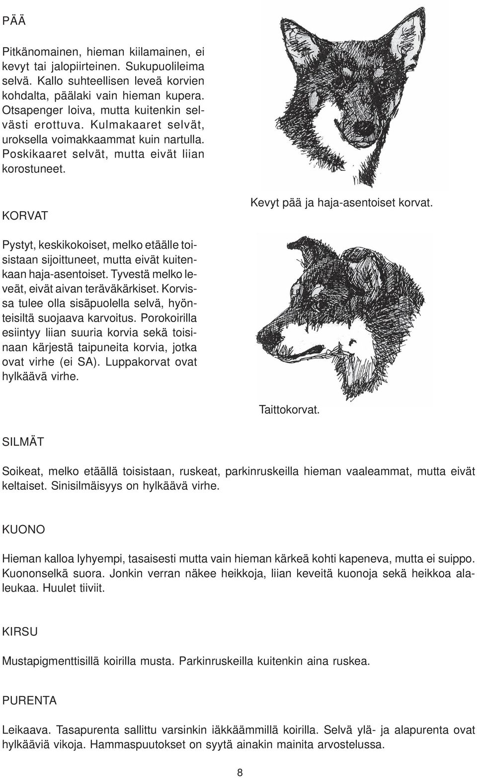 KORVAT Kevyt pää ja haja-asentoiset korvat. Pystyt, keskikokoiset, melko etäälle toisistaan sijoittuneet, mutta eivät kuitenkaan haja-asentoiset. Tyvestä melko leveät, eivät aivan teräväkärkiset.