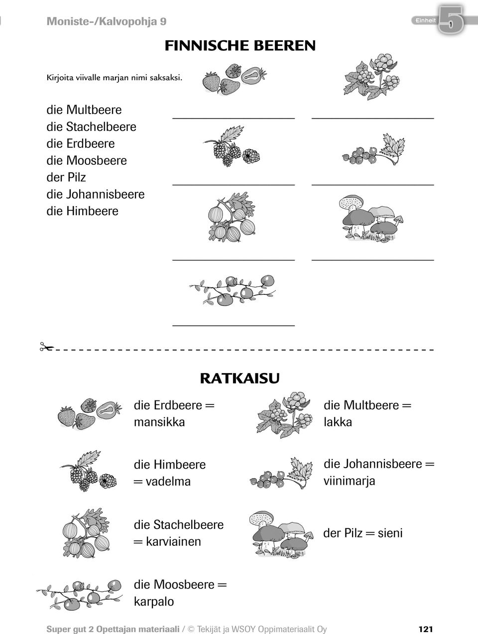 Himbeere RATKAISU die Erdbeere = mansikka die Multbeere = lakka die Himbeere = vadelma