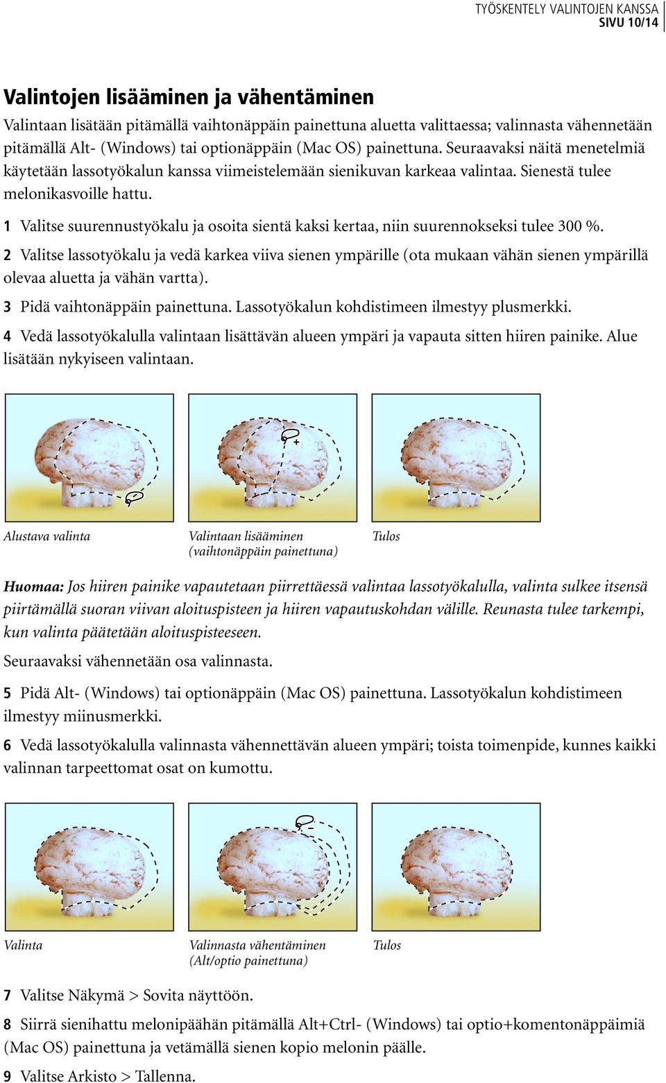 1 Valitse suurennustyökalu ja osoita sientä kaksi kertaa, niin suurennokseksi tulee 300 %.