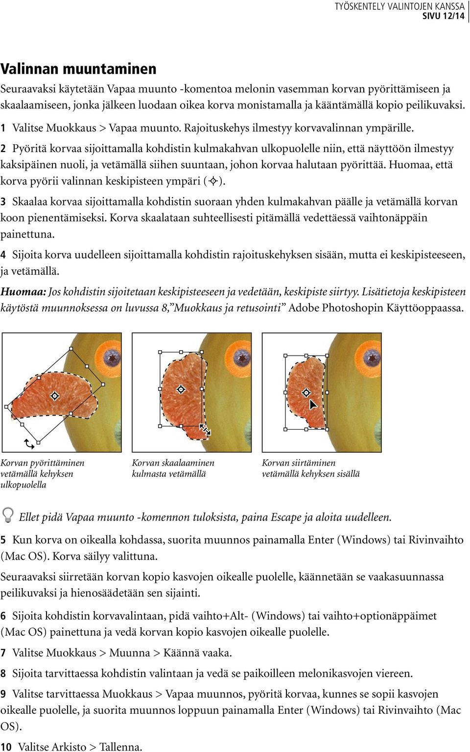 2 Pyöritä korvaa sijoittamalla kohdistin kulmakahvan ulkopuolelle niin, että näyttöön ilmestyy kaksipäinen nuoli, ja vetämällä siihen suuntaan, johon korvaa halutaan pyörittää.