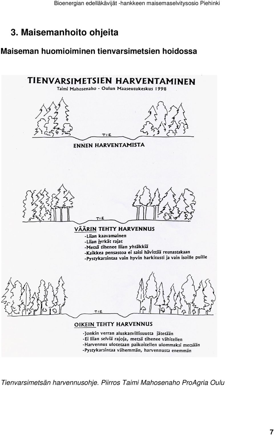 hoidossa Tienvarsimetsän