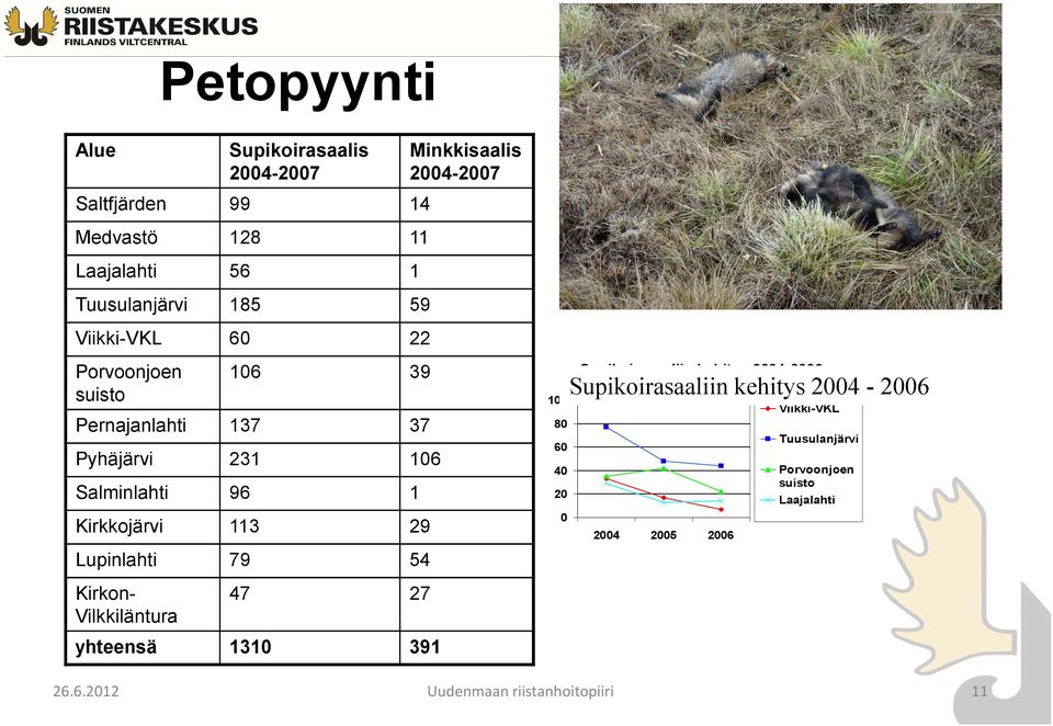 Vilkkiläntura 47 27 yhteensä 1310 391 Minkkisaalis 2004-2007 100 80 60 40 20 0 Supikoirasaaliin kehitys 2004-2006